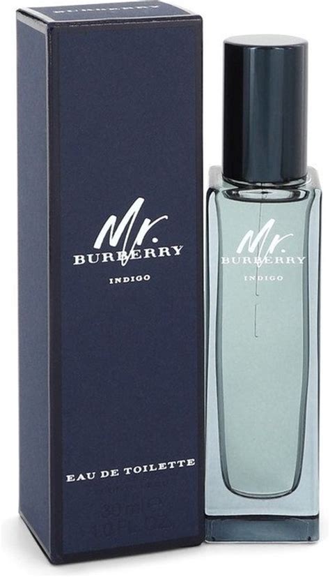 mr burberry indigo eau de toilette 30ml|mr burberry indigo cologne reviews.